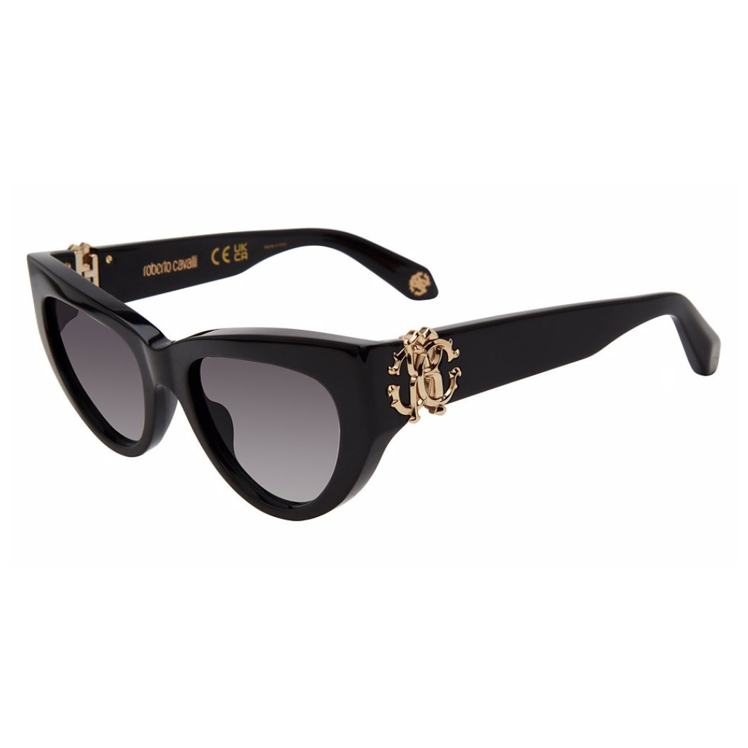 Lunettes de soleil David Beckham | Modèle DB 1078