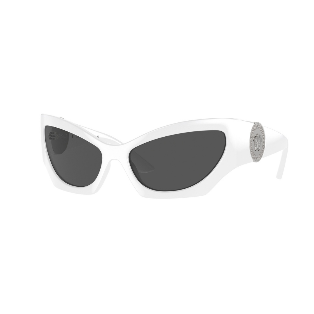 Versace Sunglasses | Model 0VE4450