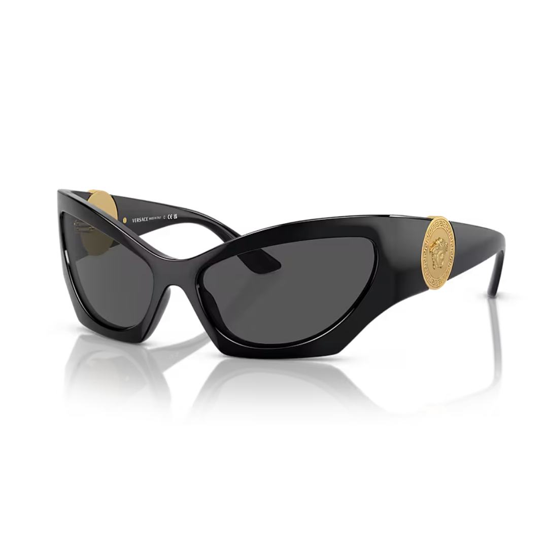 Versace Sunglasses | Model 0VE4450
