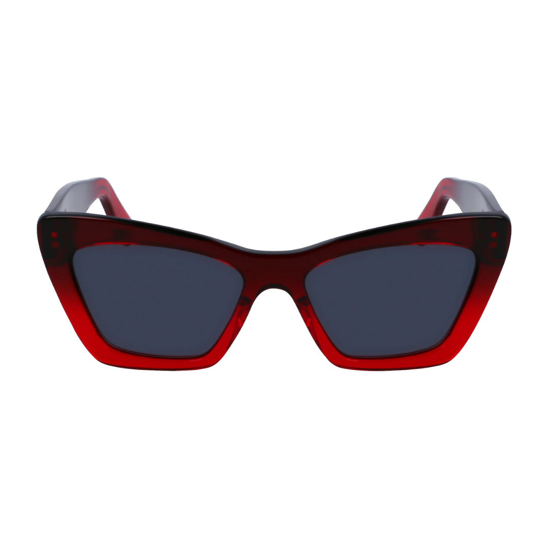 Lunettes de soleil Salvatore Ferragamo | Modèle SF929SN