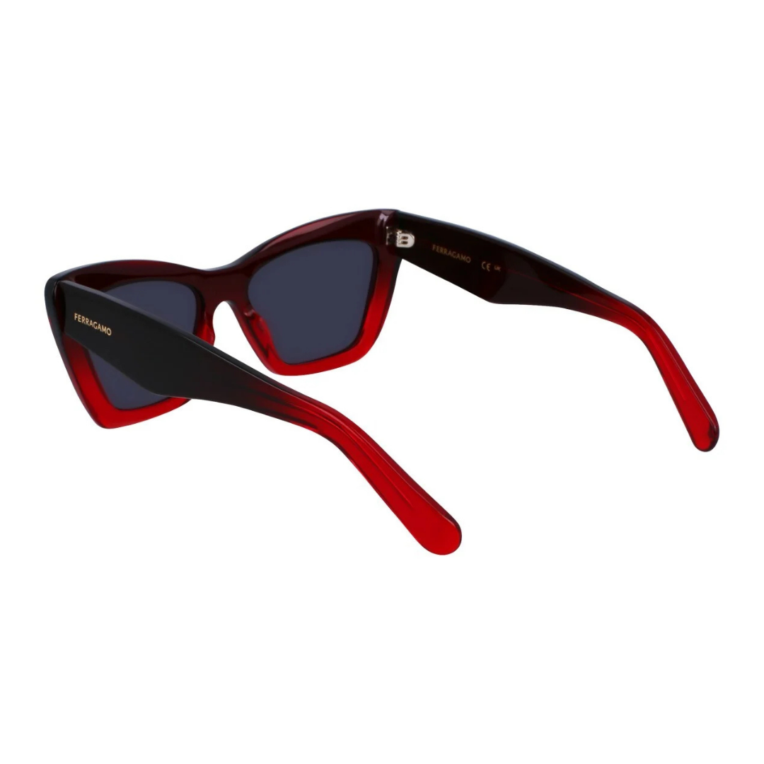 Lunettes de soleil Salvatore Ferragamo | Modèle SF929SN