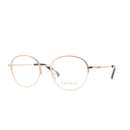 Esprit Optical Frame | Model ET21040