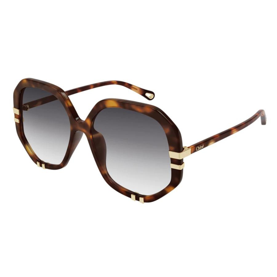 Chloe Sunglasses | Model CH0105S